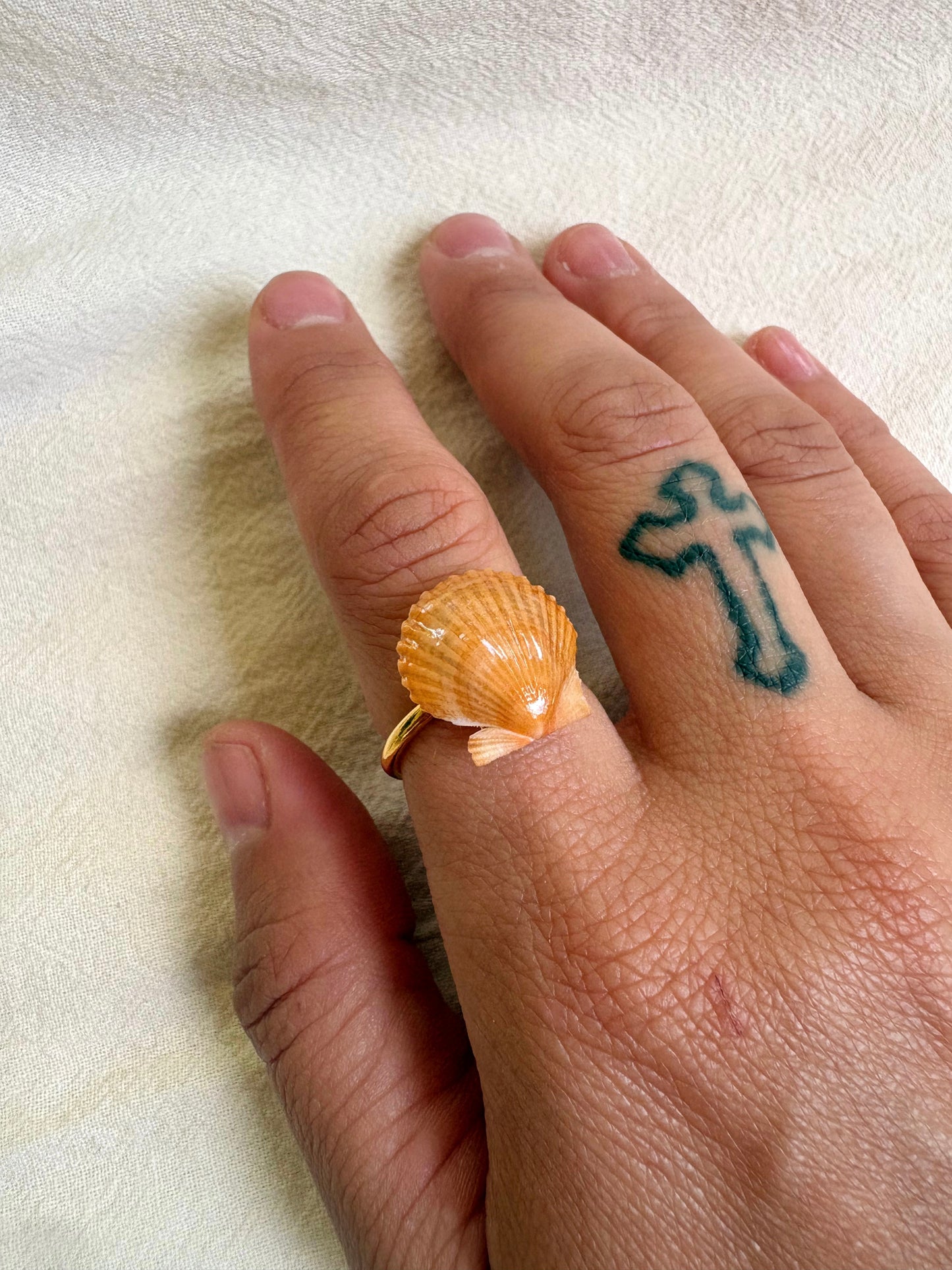 conchiglia mini