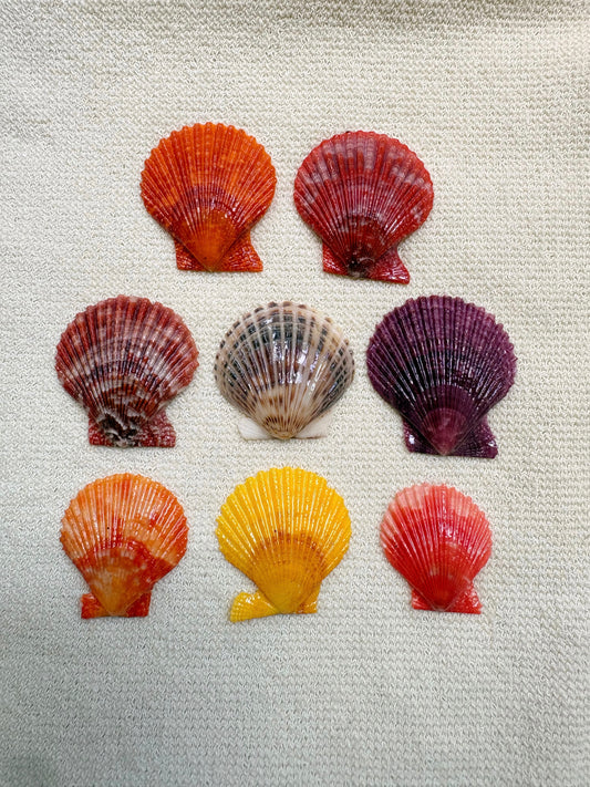 Pick Your Shell Ring