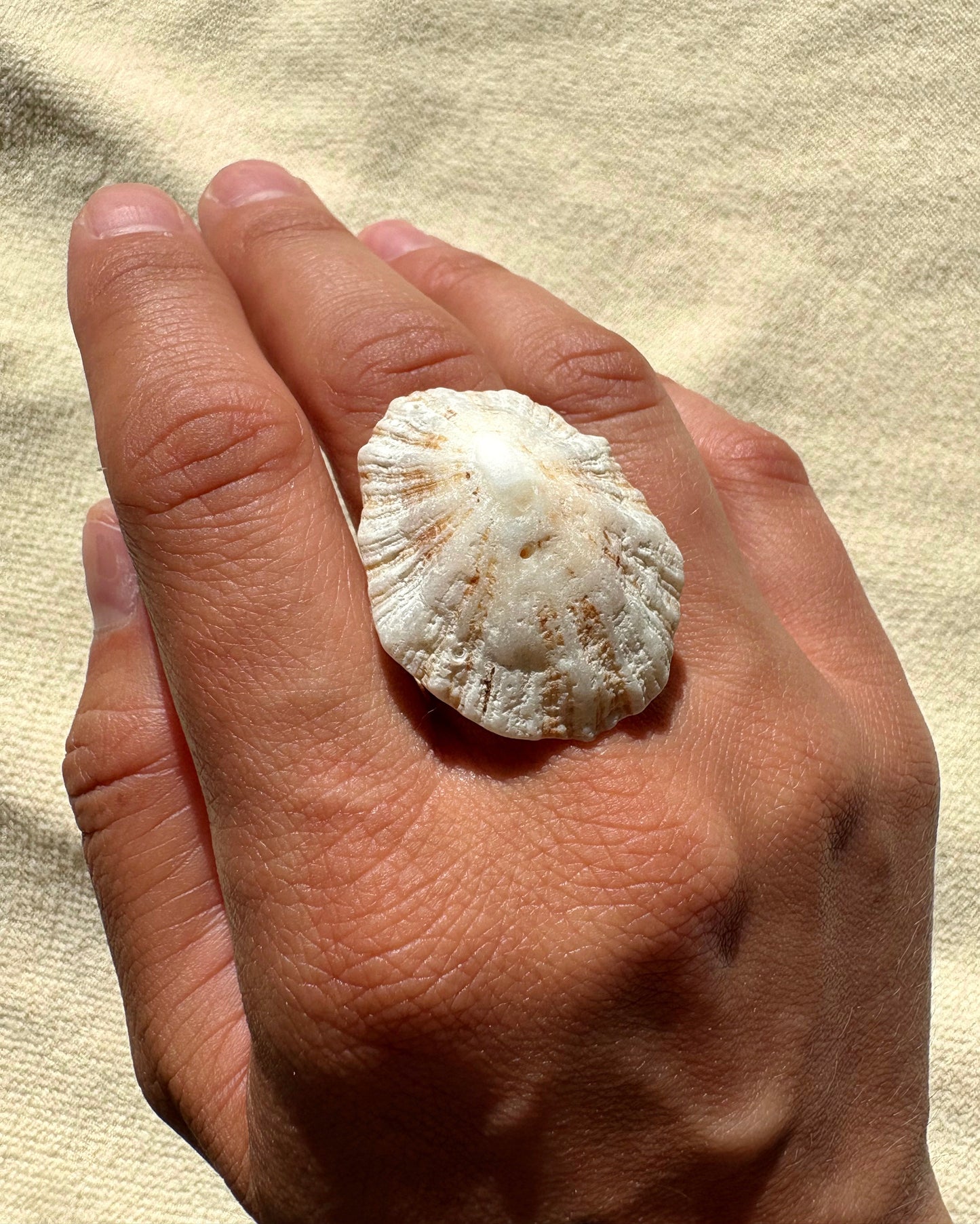 Limpet Ring