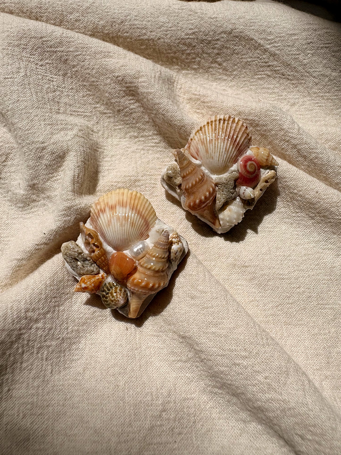 Beachcomber no.2