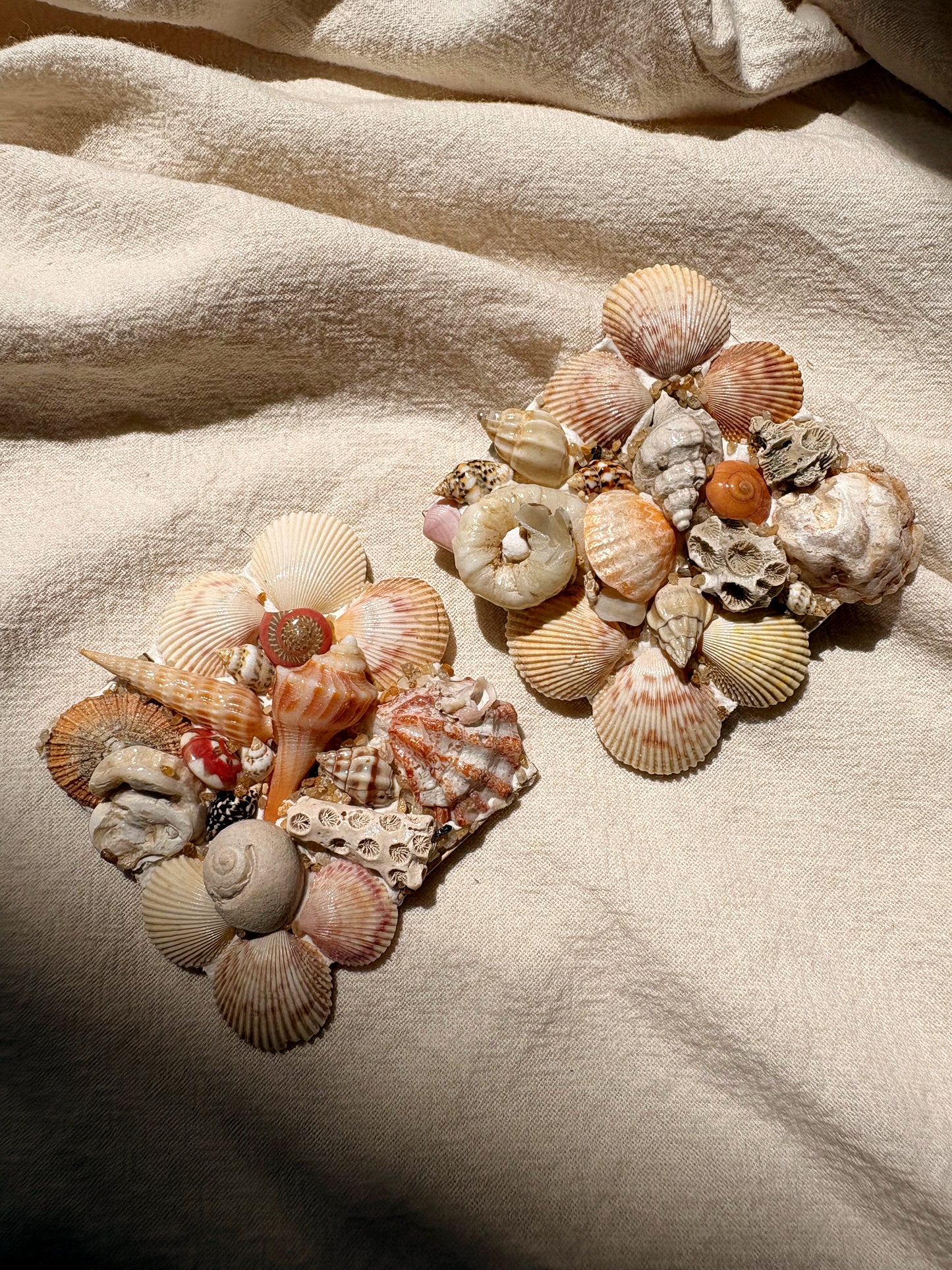 Beachcomber XL no.3