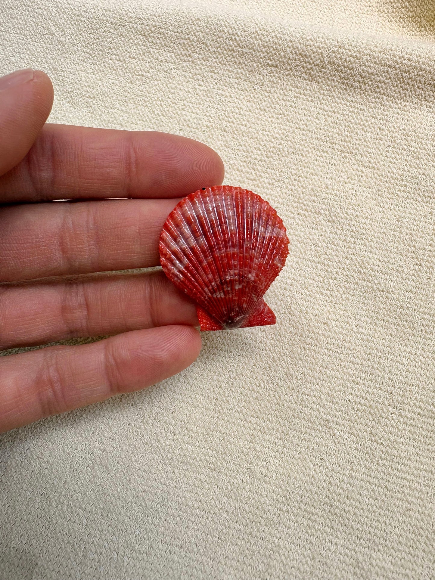 Pick Your Shell Ring