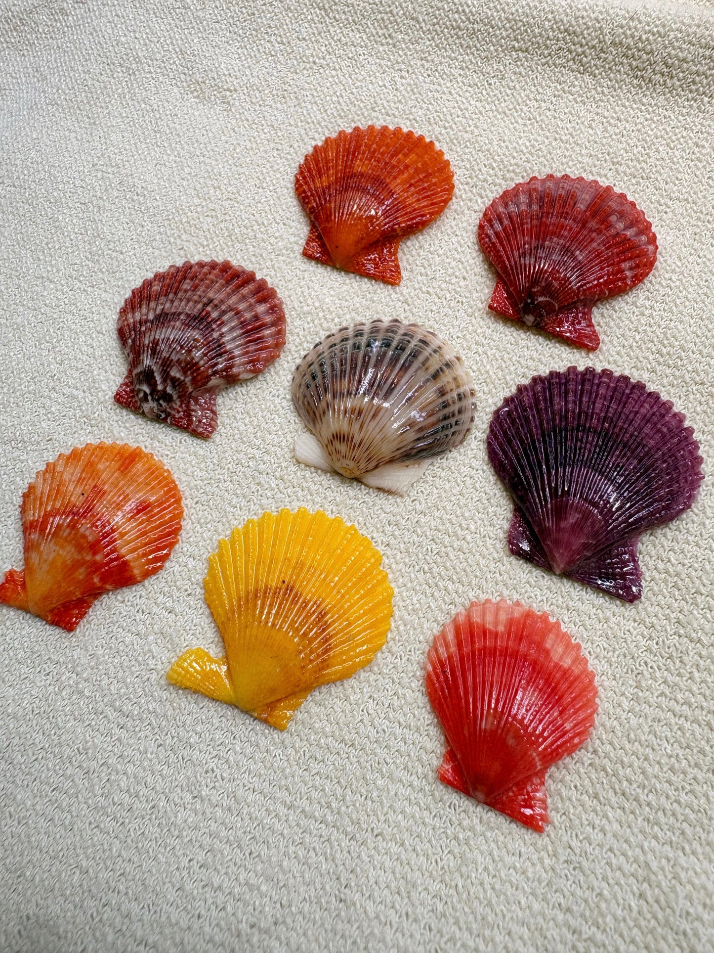 Pick Your Shell Ring