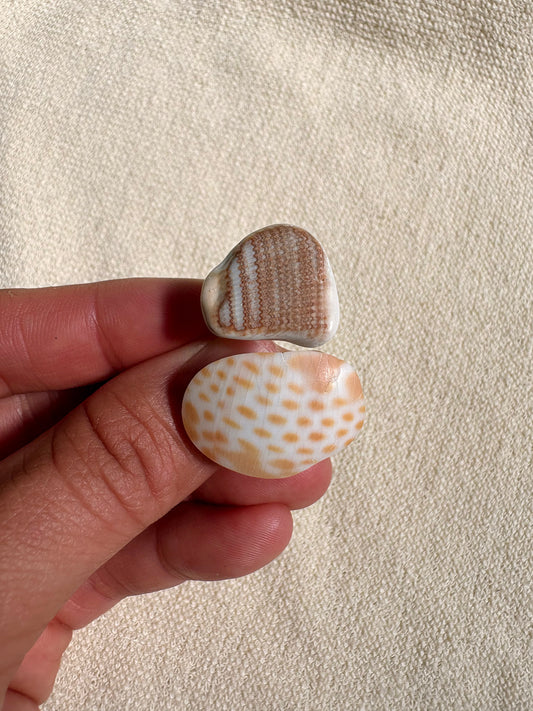 Tiny Treasures no.4