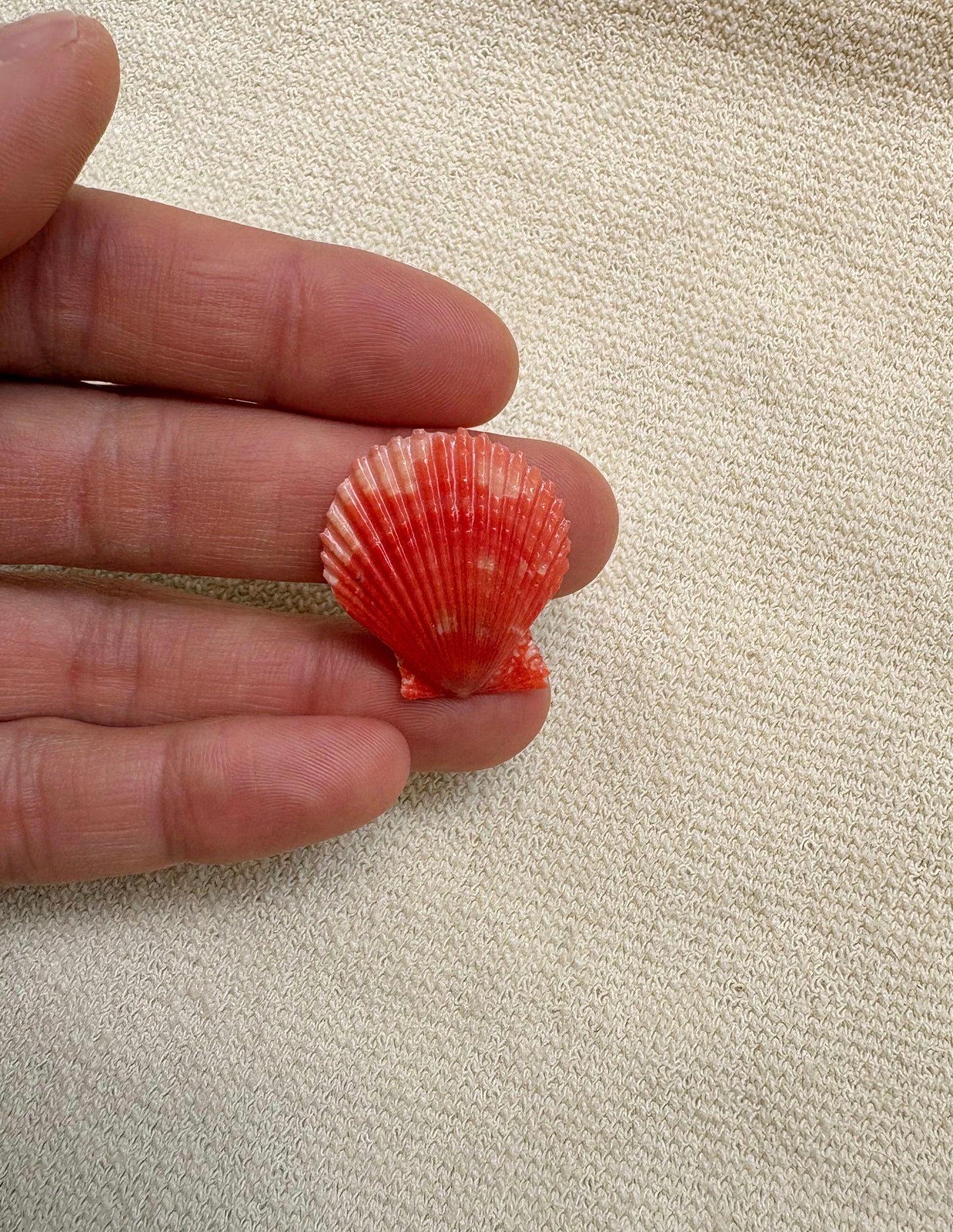 Pick Your Shell Ring