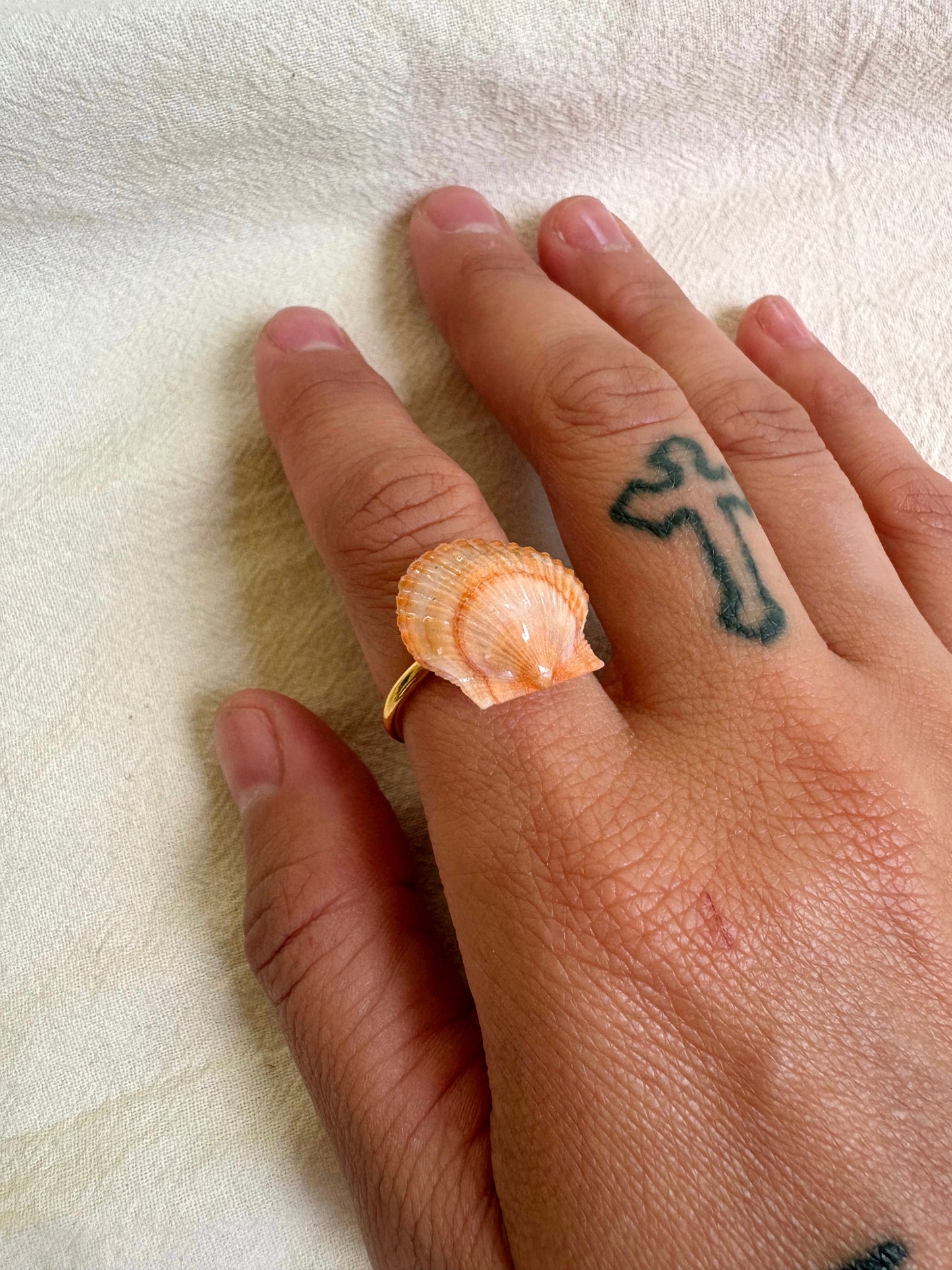 conchiglia mini